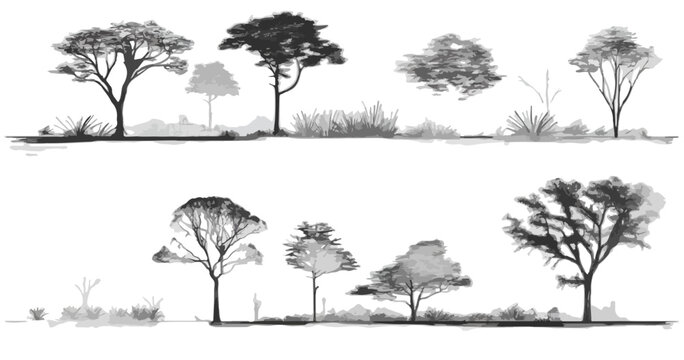Colecci&oacute;n de siluetas de &aacute;rboles y arbustos en estilo de boceto arquitect&oacute;nico sobre un fondo transparente para dise&ntilde;o de paisajes y jardines.