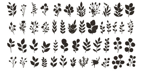Colecci&oacute;n de siluetas negras de hojas y ramas bot&aacute;nicas sobre fondo blanco, ideal para dise&ntilde;os de naturaleza y elementos decorativos elegantes.