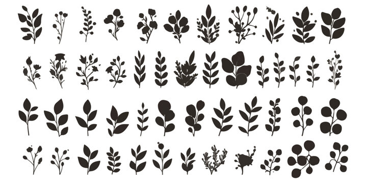Colecci&oacute;n de siluetas negras de hojas y ramas bot&aacute;nicas sobre fondo blanco, ideal para dise&ntilde;os de naturaleza y elementos decorativos elegantes.