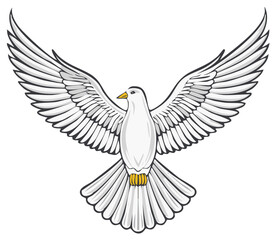 Obraz premium Dove illustration with spread wings, symbol of peace and freedom, bird in flight, religious symbolism, white dove with open wings.