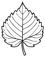 Outline of a Single Heart-Shaped Leaf with Serrated Edges and Veins