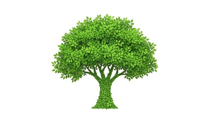 Obraz premium Lush Green Tree with Dense Foliage Isolated on White Background