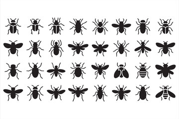 Fototapeta premium Entomology pictograms for biology projects