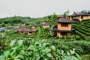 The Nature City Of North(Ban Ruk Thai)Mae Hong Son, Thailand.