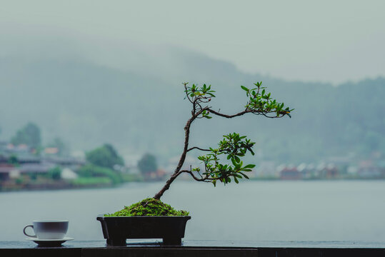 The Nature City Of North(Ban Ruk Thai)Mae Hong Son, Thailand.