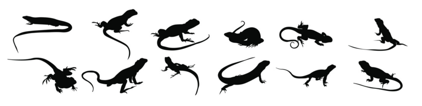 set lizard silhouette vector illustration