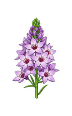 Fototapeta premium Cluster of delicate purple star-shaped flowers with green stems, a beautiful botanical display of natural elegance