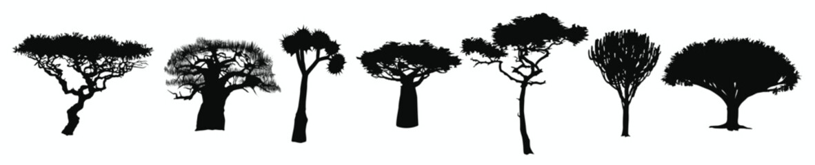 collection with flat silhouettes of african trees flat  © Juli