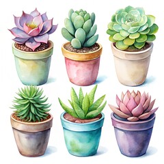 Vibrant watercolor succulents in colorful pots