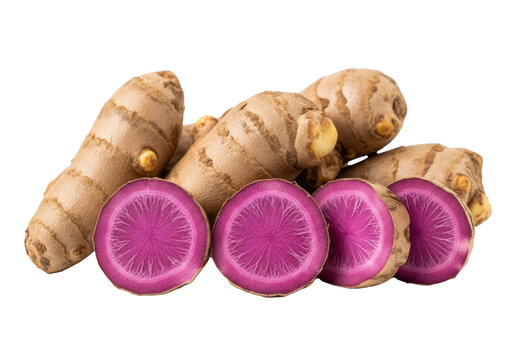 Fresh Kaempferia parviflora roots (black ginger), whole earthy brown and sliced revealing vibrant deep purple flesh, arranged on a transparent background with soft studio light, concept of natural