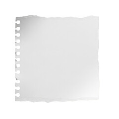 Torn Sheet of White Lined Paper with Spiral Binding Holes, Isolated Cut-out
