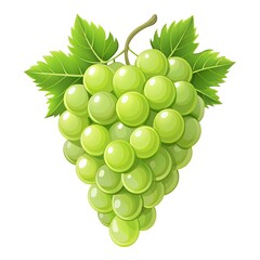A bunch of green grapes with leaves on a white background