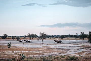 Naklejka premium People Traveling by Horse and Cart in the Ennedi Desert.