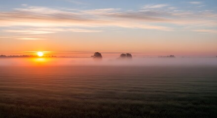 Obraz premium Sunrise over field and mist