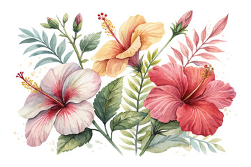 Watercolor Hibiscus Tropical Flower Illustration, Exotic Floral Art, vector isolated on white background © Tanvir Rana