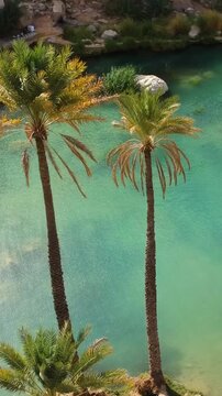 Vertical aerial of amazing Wadi Bani Khalid oasis with turquoise water and palm trees in the Sultanate of Oman.