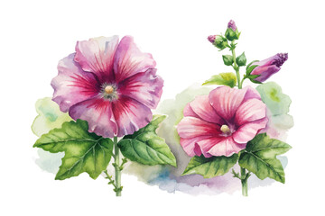 Watercolor Hollyhock Bloom, Rustic Garden Floral Vector Illustration Isolated on White