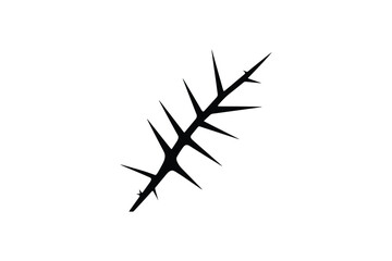Thorny branch silhouette with sharp spikes isolated on white background desert plant element botanical graphic