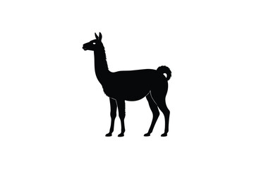 Majestic silhouette of a llama standing, showcasing its elegant profile and distinctive woolly coat