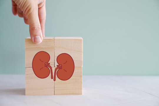 Hands holding wooden blocks with health icons,  urology, kidney, world kidney day, organ donation, health insurance concept