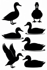 Fototapeta premium Write to me 48 SEO friendly short keyword of this image for, Freepik, adobe stock, marketplace. Make one line with a comma.