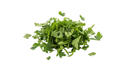 Obraz premium Fresh parsley leaves isolated on transparent background for culinary or herbal use