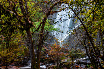 Fototapeta premium The backdrop of a beautiful natural waterfall in Thailand, Khlong Lan Waterfall in Kamphaeng Phet, features water flowing over a rock formation shaped like a crocodile, surrounded by trees.