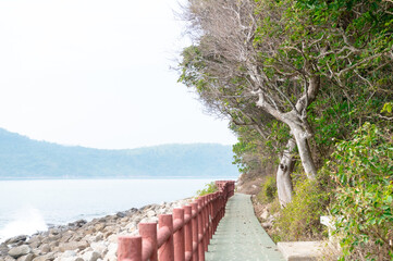 香港　塔門島の海と町並み