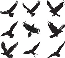Obraz premium Flying bird silhouettes vector set with black birds in different wing positions