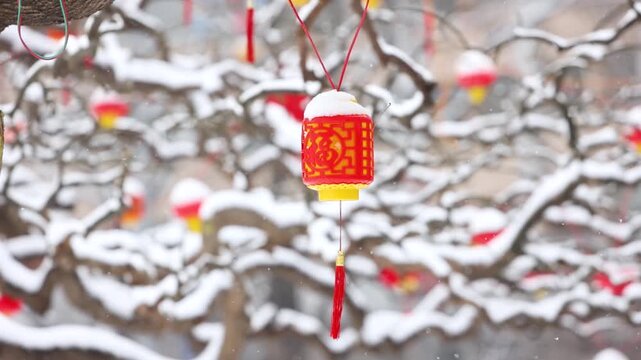Snow falls gently on the lanterns hanging from the tree branches in winter