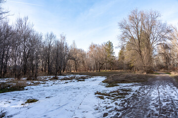 A peaceful winter landscape in a park or forest clearing, with patches of snow on the ground and bare trees under a bright blue sky with light clouds. © Dina Luk