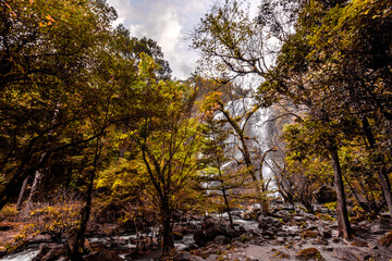 The natural backdrop of a waterfall in a deep forest or a reservoir by a stream, the beauty of the ecosystem, the green forest, the cool air during an adventurous trip.