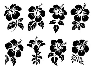 Fototapeta premium Black and White Hibiscus Flowers: Botanical Vector Graphics for Tropical Island Theme and Floral Decorative Art