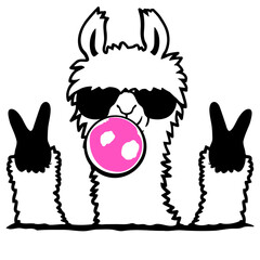 Obraz premium Llama Bubblegum Bubble Chewing Cool Sunglasses Alpaca White Fur Funny Peace Victory Hand Sign