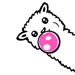 Obraz premium Llama Bubblegum Bubble Chewing Cool Side View Cute Alpaca White Fur Funny