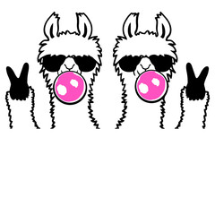 Obraz premium 2 Team Friends Crew Llama Bubblegum Bubble Chewing Cool Sunglasses Alpaca White Fur Funny Peace Victory Hand Sign
