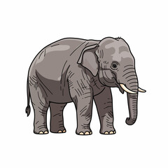 Obraz premium A gray elephant with tusks