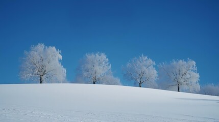 Obraz premium Serene winter landscape with snow-covered trees on a gentle hill under a clear blue sky