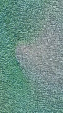 Vertical aerial top-down of a bird gliding over a submerged sandbar loop