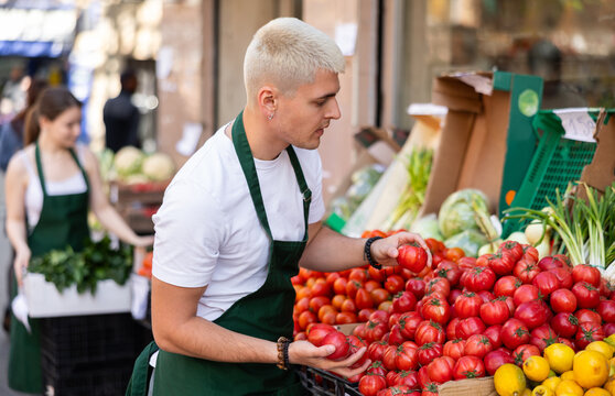 Young guy seller in apron puts fresh tomatoes on display at vegetable market