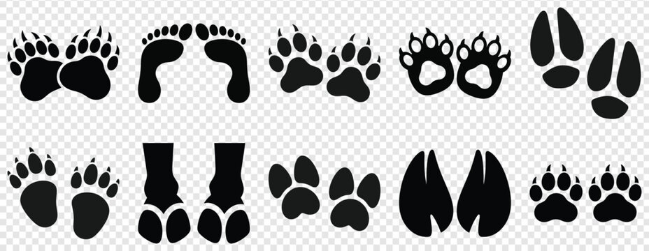 Collection of various animal footprints and paw prints in black silhouette eps vector