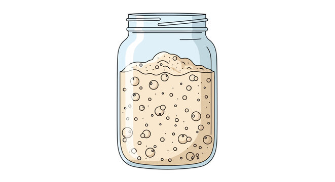 Sourdough Starter Culture in Glass Jar Vector Illustration. Active Wild Yeast Fermentation Process for Homemade Bread Baking and Levain Preparation.