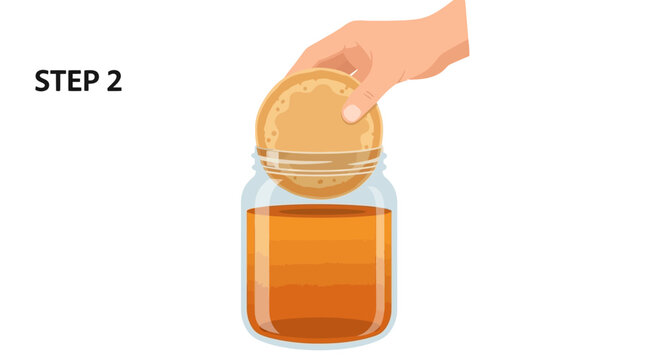 Step 2: Placing the Kombucha SCOBY into the sweet tea in a jar during the home fermentation brewing process, instructional diagram illustration.