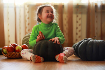 Fototapeta premium Little child choose a pumpkin at autumn. Child sitting on giant pumpkin. Pumpkin is traditional vegetable used on American holidays - Halloween and Thanksgiving Day.