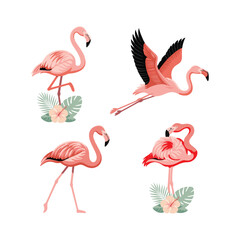 Obraz premium Pink flamingos standing together in tropical nature illustration