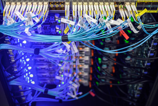 Dense fiber optic network cables glowing in blue light inside modern data center rack, showing high speed connectivity, secure backbone, and critical infrastructure