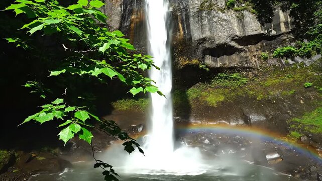 Stunning captured medium shot of a majestic waterfall cascading down rocky cliffs, framed by lush green foliage and a vibrant rainbow in the natural landscape scenery, a tranquil outdoor sce