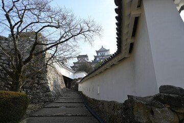 青空に映える国宝の櫓：堅牢な石垣と白漆喰のコントラスト