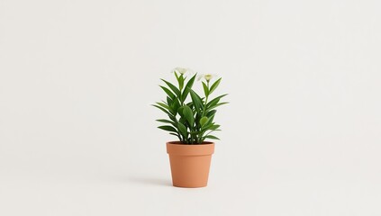 Fototapeta premium Small potted plant with green leaves and white flowers sits against a neutral, plain background