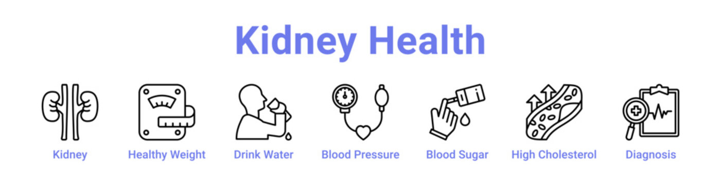Kidney Health Icon Banner and Collection